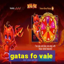 gatas fo vale